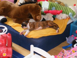 sleep