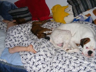 natt